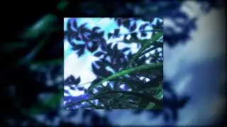 Duster - Inside Out {slowed + reverb}