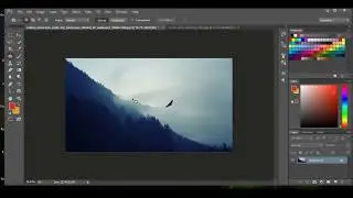 Photoshop patch tool: Removing objects from an image