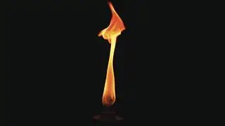 Flame / #flames #fire #flammable #ගින්දර #mondokan