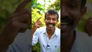 පලලා කන ගුණයෙන් වැඩිම ඇට වර්ග