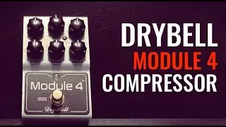 David Gilmour’s secret weapon - compression! DryBell Module 4 Compressor