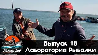 Fishing Lab || Выпуск #8