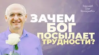 Почему Бог посылает нам трудности? (Торсунов О. Г.)