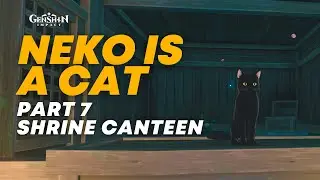 Neko is Cat - Shrine Canteen | Genshin Impact
