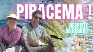 Piracema 2024/2025: 