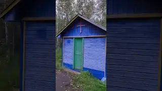 #лес 3