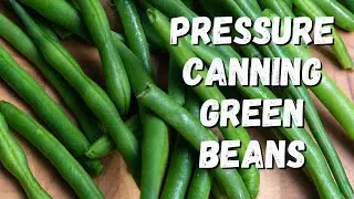 How To Pressure Can Green Beans   52 Weeks of Canning