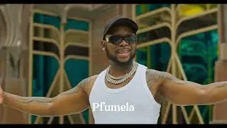 Mr. Bow - Pfumela (Visualiser)