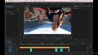 Adobe Premiere Pro CC Complete A Video Editing Project 3