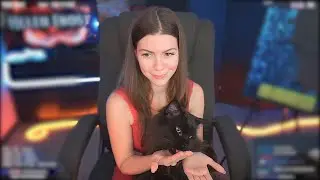 Мурчание кота (стрим момент)  ❤️ Cat purring (stream moment)