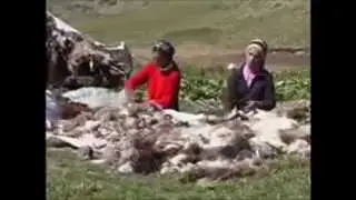 Emo Goze - Memoyê Silo - Kilam u Migamên Kudî