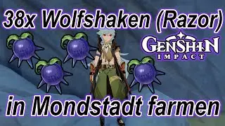💪Genshin Impact - (Farm)Guide: 38x Wolfshaken in Mondstadt finden/sammeln (Karte mit Markierungen)💪