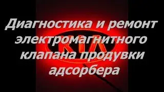 Диагностика и ремонт клапана продувки адсорбера KIA RIO III на пробеге 333 тыс.