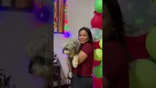Merry Christmas everyone from me & my schnauzers