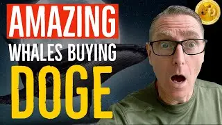 HUGE BREAKING NEWS!!  I CAN NOT BELIEVE IT!! WHALES ARE BUYING UP DOGECOIN LIKE CRAZY!!!!!!