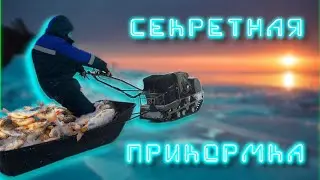 Запрещенная Карельская прикормка для зимней рыбалки. Рыбалка и туризм в Карелии.