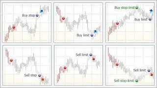Buy Stop Limit & Sell Stop Limit Orders on MT5: Step-by-Step Tutorial