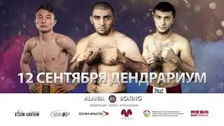 Международный турнир по боксу во Владикавказе ARIANA BOX