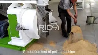 How to Use Ring Die Pellet Machine to Produce Cattle Feed Pellets?