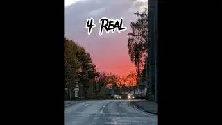 DBK-4 Real
