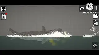 (4K) Shark noms & Naws News Compilation (T2)