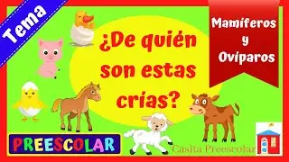 ¿De quién son estas crías? Mamíferos y Ovíparos #Aprendeencasa Preescolar