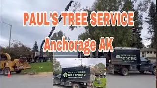 PAUL’S TREE SERVICE/Cutting Tree2022