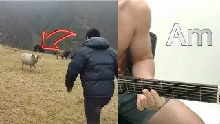 The Good Shepherd and His Sheep. Guitar Chord. HOW GREAT THOU ART