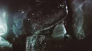 Son Lux – “Wait (AWWWM Outtake)