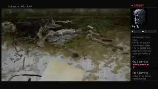 The last of us