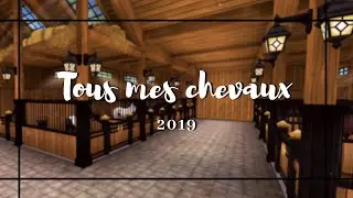 SSO-Tous mes chevaux (2019)