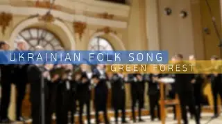 Ukrainian Folk Song: Zelena Lishchyna (