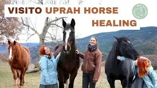 Visito Uprah Horse Healing | Laia x Xaloc