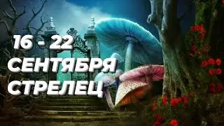 ❤️СТРЕЛЕЦ. ♐️С 16 - 22 сентября 2024.♐️