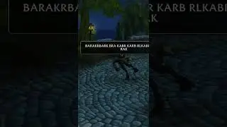 The Stormwind bird battle #shorts #worldofwarcraft #wow