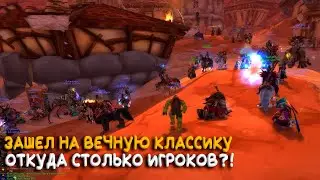 Где играет русская Орда на Firemaw WoW Classic?