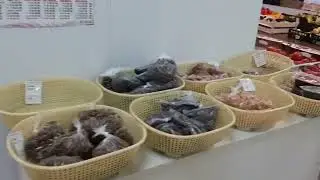 Наро-Фоминск , пешие прогулки .