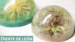 Diente de león y resina. Pisapapeles de flor natural. Dandelion in resin. Resin art. paperweight.