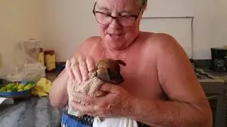 Granny gets wet giving chicha a bath