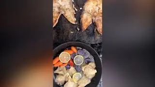 ماهی سنگی در دل طبیعت ایران