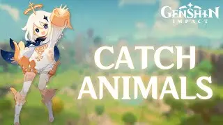How to Catch Animals in Genshin Impact 2024 | Genshin Impact