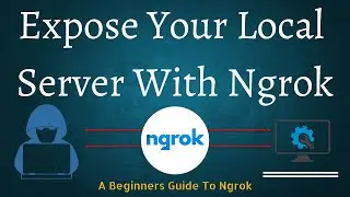 A Beginners Guide To Ngrok : Set Up & Usage