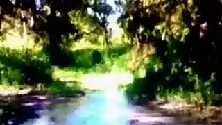 СЕАНС ИСЦЕЛЕНИЯ ЗАБОЛЕВАНИЙ ЖЕЛУДОЧНО-КИШЕЧНОГО ТРАКТА
