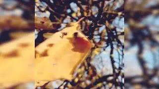 Ambient Fragments / Фрагменты - Часть 2 / Part 2 (#ambient #atmospheric #cinematic)
