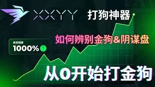 打狗神器XXYY，捕捉早期金狗，玩转memecoin。