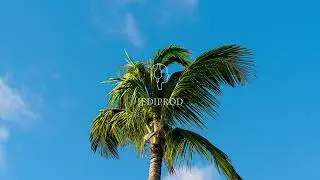 Dirty Brothers - Too Late (Original Mix)