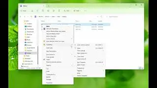Windows: Select files from multiple folders and paste them all at once using Copywhiz