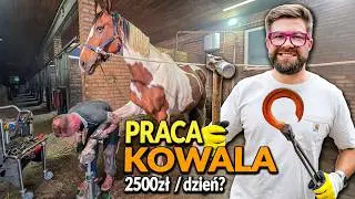 He earns 2,500 PLN A DAY shoeing horses?! What's it like to work as a farrier? | GET TO WORK