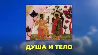 Душа и тело