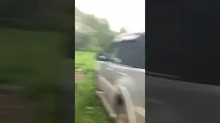 🦟Тучи комаров🦟